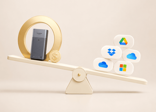 NAS vs. Google Drive: 5-Year Cost Comparison